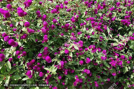 2021中秋节土味情话句子文案最新(精选51句)