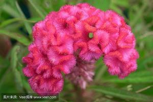 读的心都碎了的30条年度最虐心微信签名