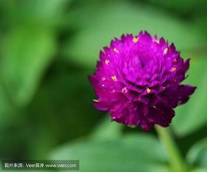 愚人节搞笑节日段子大全