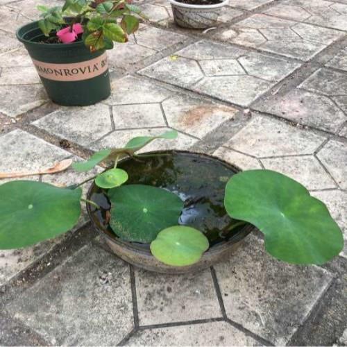 心手相应