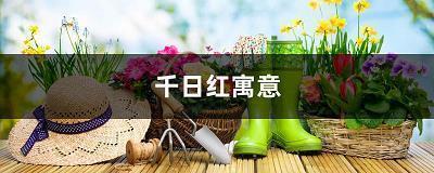 2021年简短经典朋友圈文案
