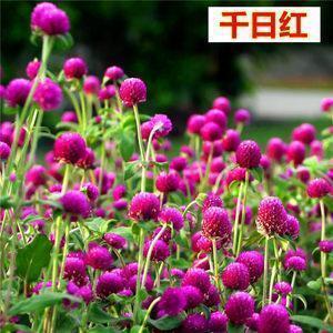 好兄弟一起开心的句子 兄弟情谊的句子经典