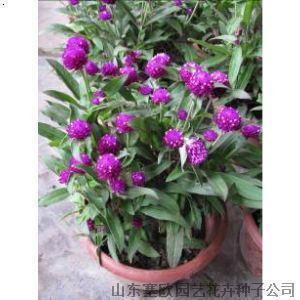 出去玩的心情发朋友圈 关于出游的心情说说(精选17句)
