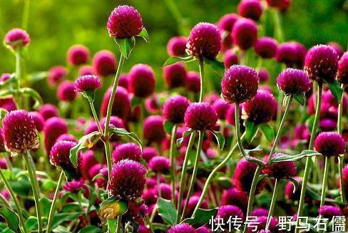 雷人甩节操的个性签名(49句)