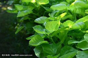 关于抒情的句子说说心情大全(精选51句)