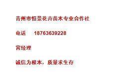 这正能量短句，很适合用来作个性签名(33句)