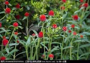 一些意味深长的句子 富有哲理意味深长的话(精选60句)