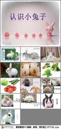是非之心