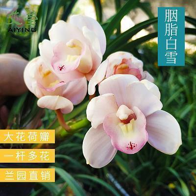 健身励志说说大全
