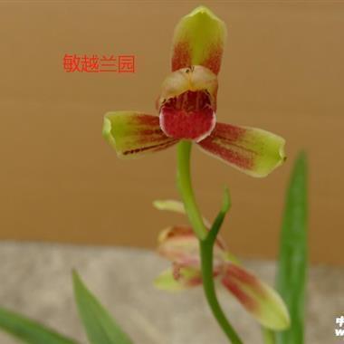 2021积极阳光的文案朋友圈