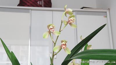 娶错人真的痛苦一生的句子