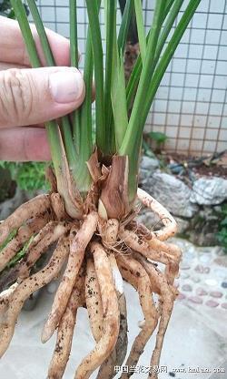 为新时代打CALL的说说
