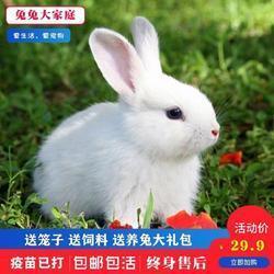 互为表里