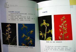 关于烟的伤感说说29句