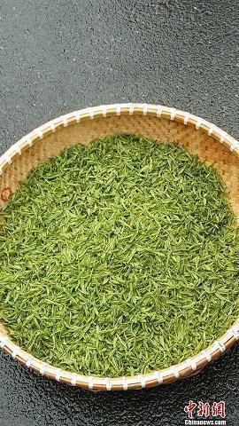 最新朋友圈伤感说说：孤独是滚烫的酒，烧坏了喉咙还说不出口
