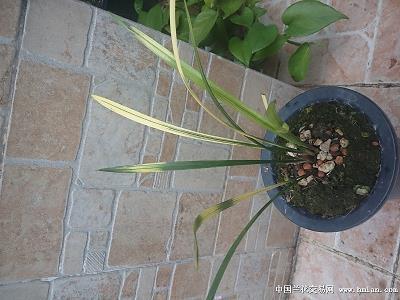 青春励志个性签名 人生就是拼命的奔跑与华丽的跌倒