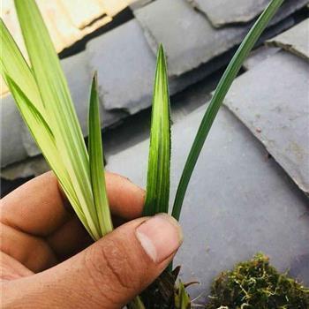 心情不好悲伤的说说心情
