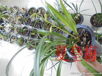 幸福家庭的短语 幸福家庭的句子(精选74句)