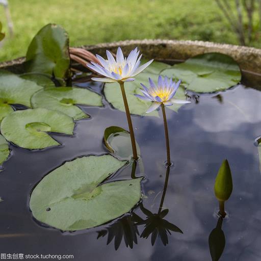 回天运斗
