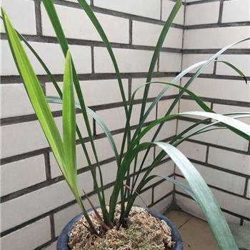 日子忙忙碌碌的说说 忙忙碌碌的说说(精选20句)