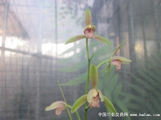 关于最后一天文案句子大全(精选83句)