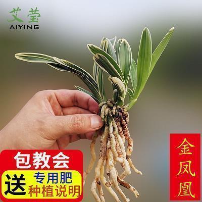 关于过年大扫除的心情说说(精选14句)