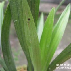 【精选】2021五月你好早安正能量句子推荐82句