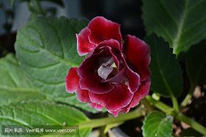 2021形容十月的唯美励志句子(精选132句)