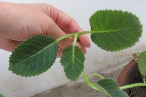励志的句子经典语句和感悟简短精选67句