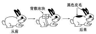 不露斤斧