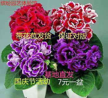 关于自己的说说心情短语