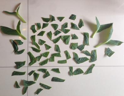 关于喜欢吃酸菜的说说句子(精选20句)