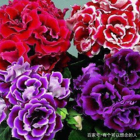 2021适合新年发的说说简短