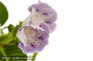 对老公孩子失望的句子
