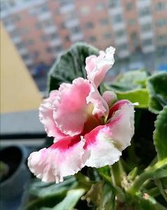 qq激励自己的经典说说34句