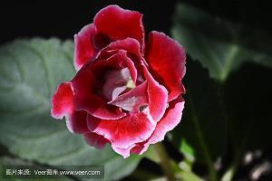 发表说说的经典句子12句