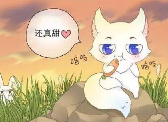 话不相投