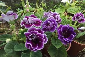 2021父亲节走心祝福语句子精选52句