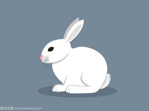 惊鸿一瞥