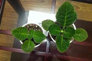 颓废的伤感回忆个性签名