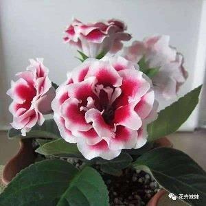 放暑假发朋友圈的心情说说 2021放暑假发朋友圈的句子27句