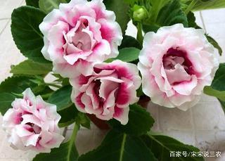 关于夜深了的心情说说(精选27句)