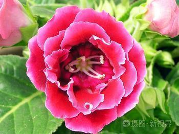 关于爱情的唯美句子伤感说说 太过在乎就是失去的开始