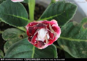 同学群幽默搞笑句子汇总84句