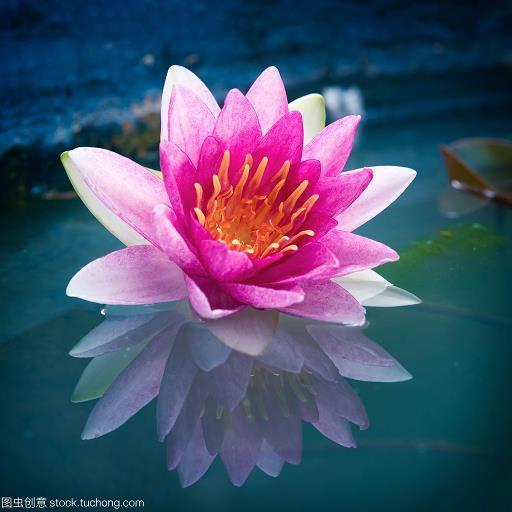 人烟辐辏