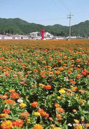 五一劳动节微信朋友圈祝福语 适合五一劳动节发圈的说说