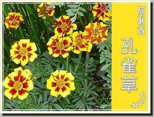 人生感悟的语录简短句子106句