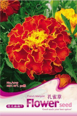 国庆节送给好友的最火祝福语2021年(精选90句)