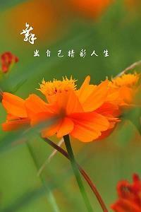 很温柔的说说心情短语