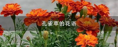 天冷注意保暖的简短句子 天气降温的说说朋友圈